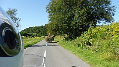 P1020704