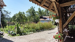 P1020787