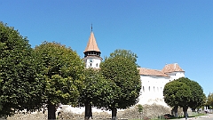 P1020855