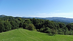 P1020891