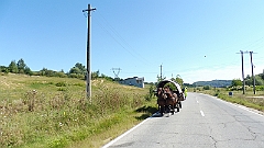 P1020895
