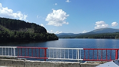 P1020972