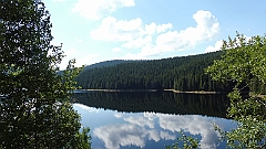 P1020984
