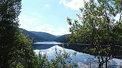 P1020988