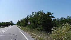 P1050415