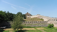 P1050452