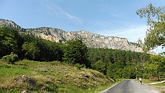 P1050503