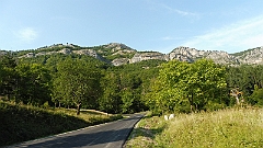 P1050508