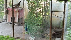 P1050523