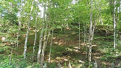 P1050527