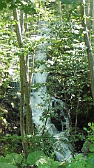 P1050528