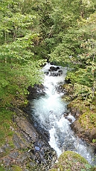 P1050529