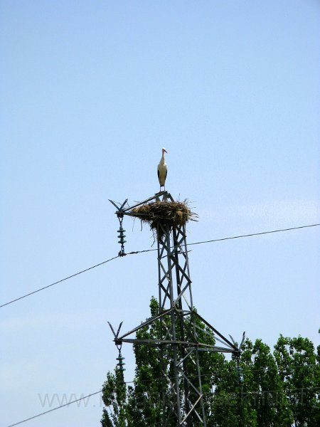 IMG_1592.JPG