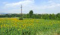 IMG_1573