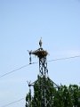 IMG_1592