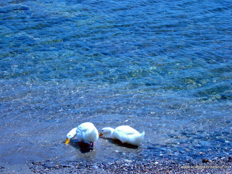 DSC01426.JPG