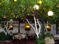 DSC01311