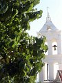DSC01413