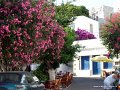 DSC01414