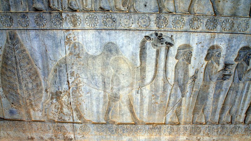 DSC04432.JPG - Persepolis!