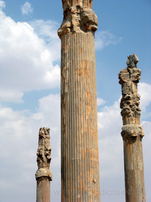 IMG_1928.JPG - Persepolis!