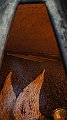 DSC04196