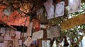 DSC04522
