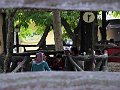 IMG_1776