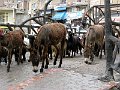 IMG_1780