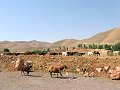 IMG_1797