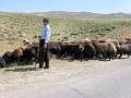 IMG_1803