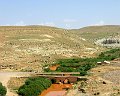 IMG_1814