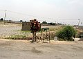 IMG_1897