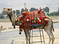 IMG_1901