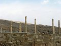 IMG_1916