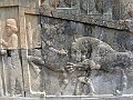IMG_1924