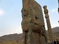 IMG_1955