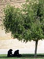 IMG_1979