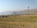IMG_2028