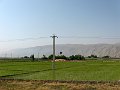IMG_2030