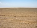 IMG_2052