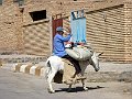 IMG_2227