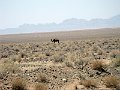 IMG_2277