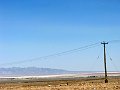 IMG_2294