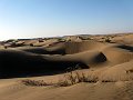 IMG_2330