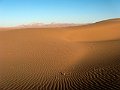 IMG_2331