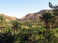 IMG_2376