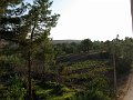 IMG_2377