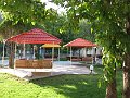IMG_2409