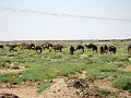 IMG_2418